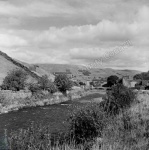 Duerley Beck, Gayle